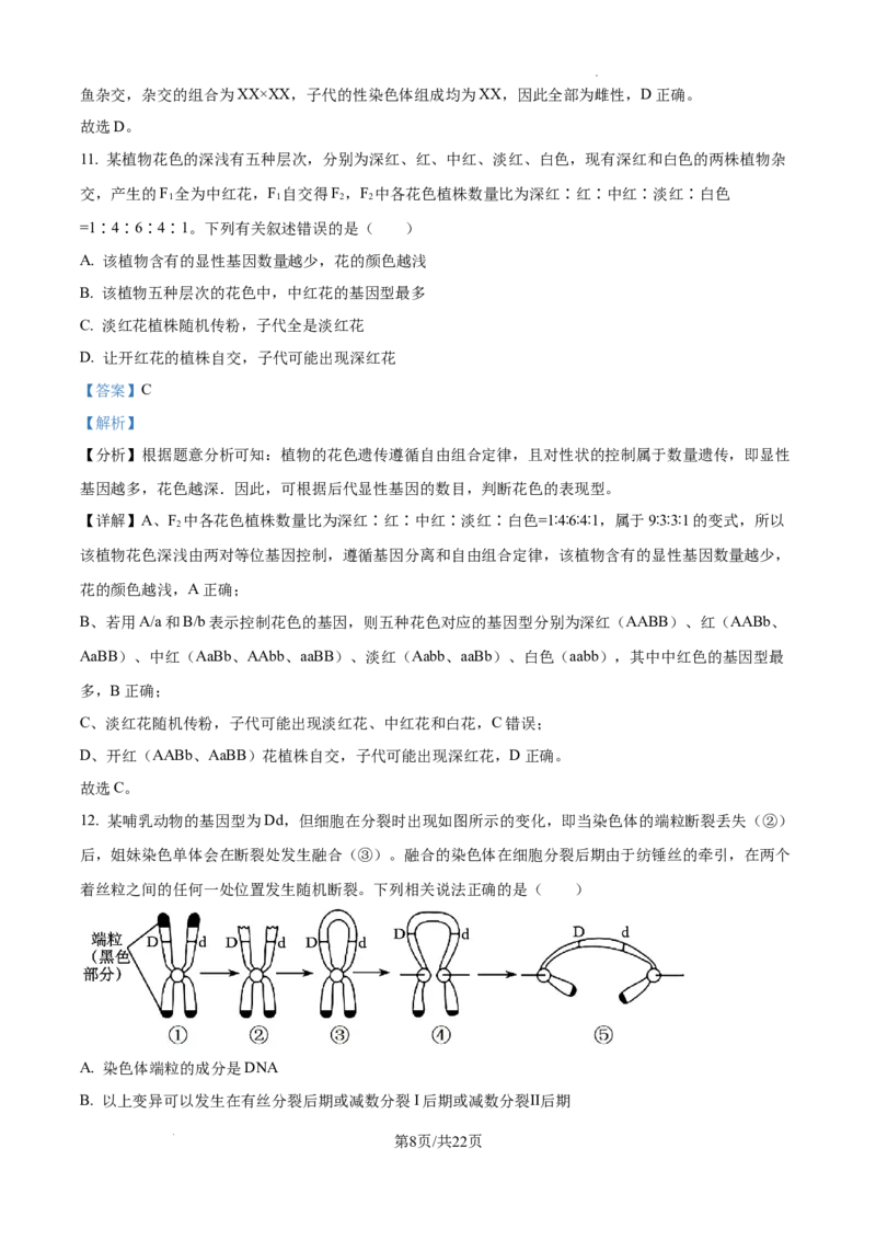 黑龙江省绥化市绥棱县第一中学2024-2025学年高三上学期10月月考生物试题答案_A1502026各地模拟卷（超值！）_10月_241022黑龙江省绥化市绥棱县第一中学2024-2025学年高三上学期10月月考