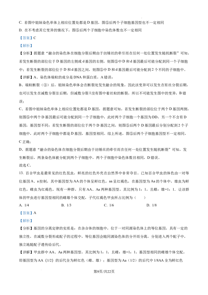 黑龙江省绥化市绥棱县第一中学2024-2025学年高三上学期10月月考生物试题答案_A1502026各地模拟卷（超值！）_10月_241022黑龙江省绥化市绥棱县第一中学2024-2025学年高三上学期10月月考