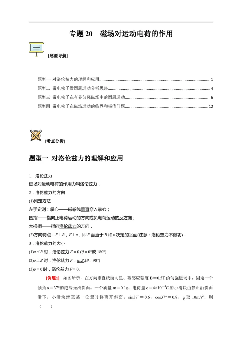 专题20磁场对运动电荷的作用（解析版）_4.2025物理总复习_赠品通用版（老高考）复习资料_专项复习_2023年高考冲刺物理热点知识讲练与题型归纳（全国通用）