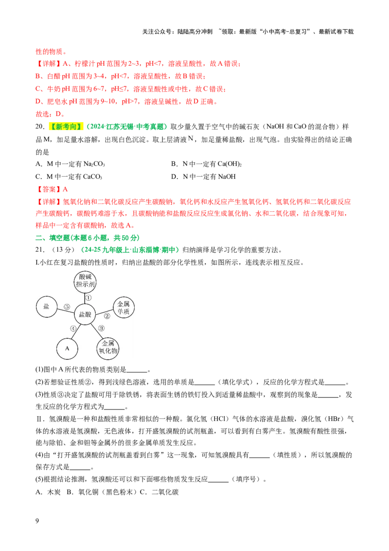主题二物质的性质与应用常见的酸碱盐（测试）（解析版）_02中考总复习（2026版更新中）_05-化学-中考总复习_2025年中考复习资料_2025中考化学一轮复习讲义+课件_练习
