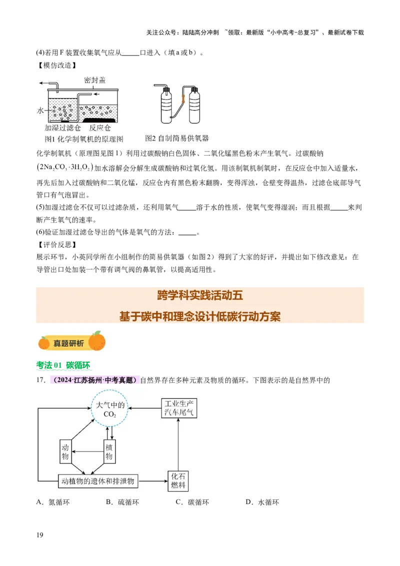 主题六跨学科实践活动（讲练）（原卷版）_02中考总复习（2026版更新中）_05-化学-中考总复习_2025年中考复习资料_2025中考二轮课件ppt+讲义+练习化学_讲义+练习