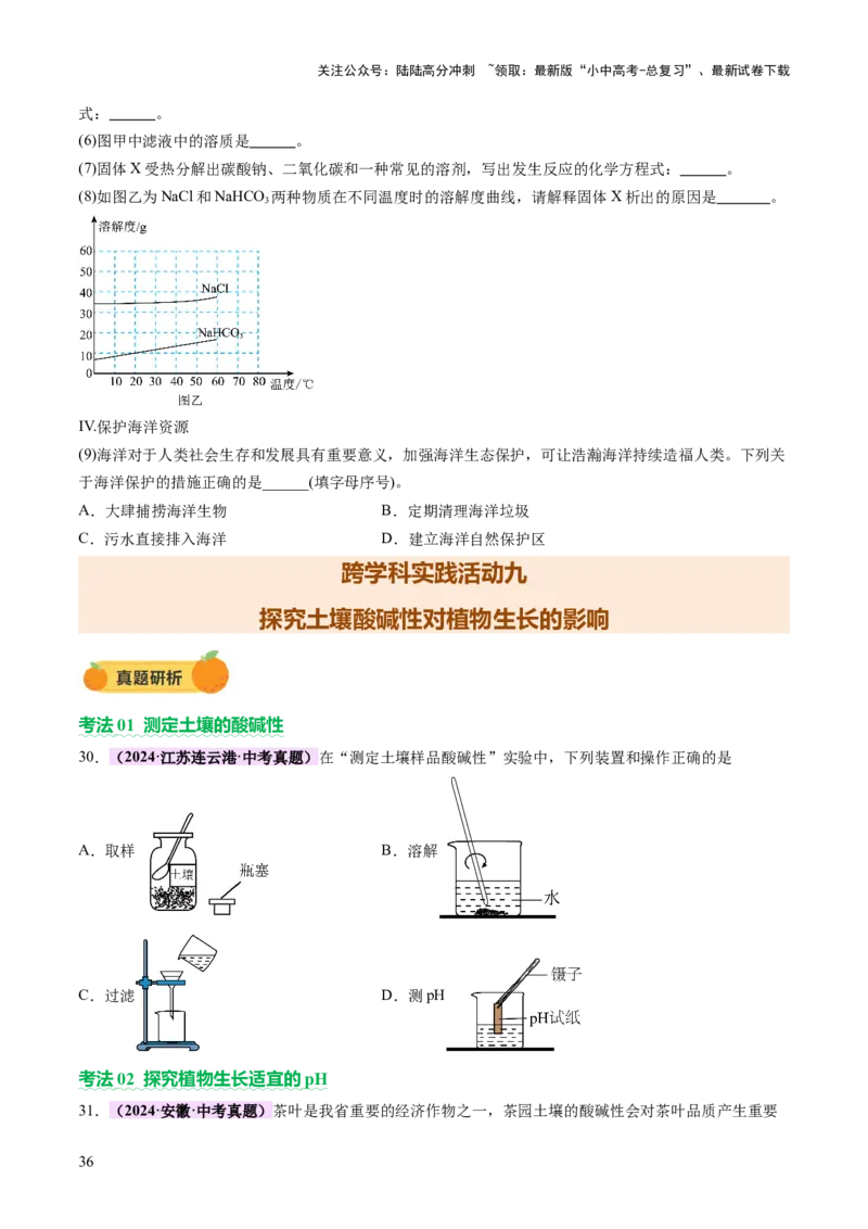 主题六跨学科实践活动（讲练）（原卷版）_02中考总复习（2026版更新中）_05-化学-中考总复习_2025年中考复习资料_2025中考二轮课件ppt+讲义+练习化学_讲义+练习