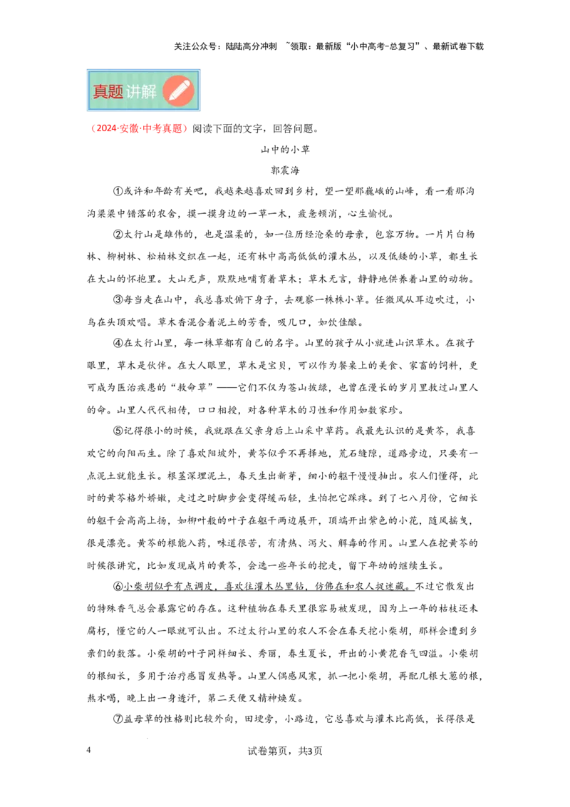 分析文章线索（专项训练）（解析版）_02中考总复习（2026版更新中）_01-语文-中考总复习_2025年中考资料_备战2025年中考语文一轮复习记叙文阅读课件+专项练习_专项练习