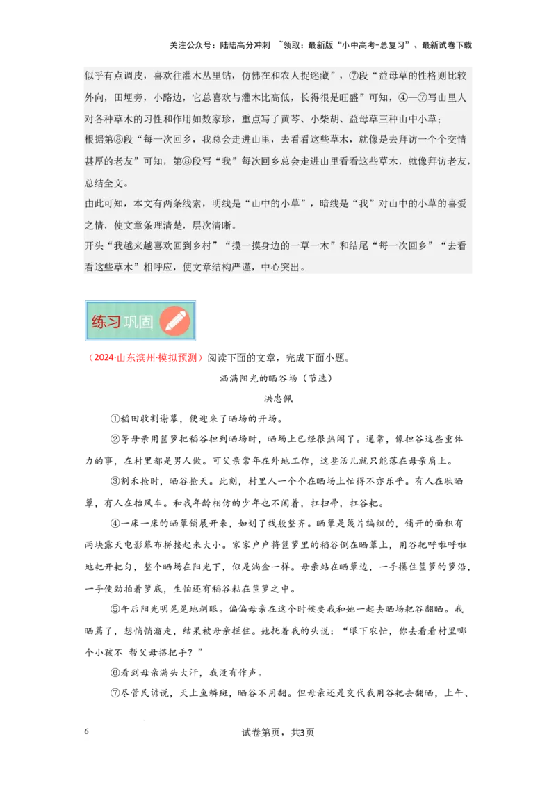 分析文章线索（专项训练）（解析版）_02中考总复习（2026版更新中）_01-语文-中考总复习_2025年中考资料_备战2025年中考语文一轮复习记叙文阅读课件+专项练习_专项练习