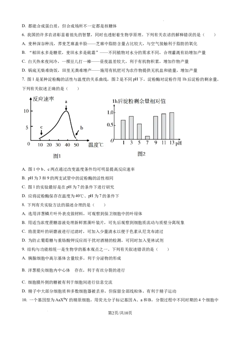 辽宁省大连市滨城高中联盟2024-2025学年高三上学期期中考试生物_A1502026各地模拟卷（超值！）_10月_241023辽宁省大连市滨城高中联盟2024-2025学年高三上学期期中考试