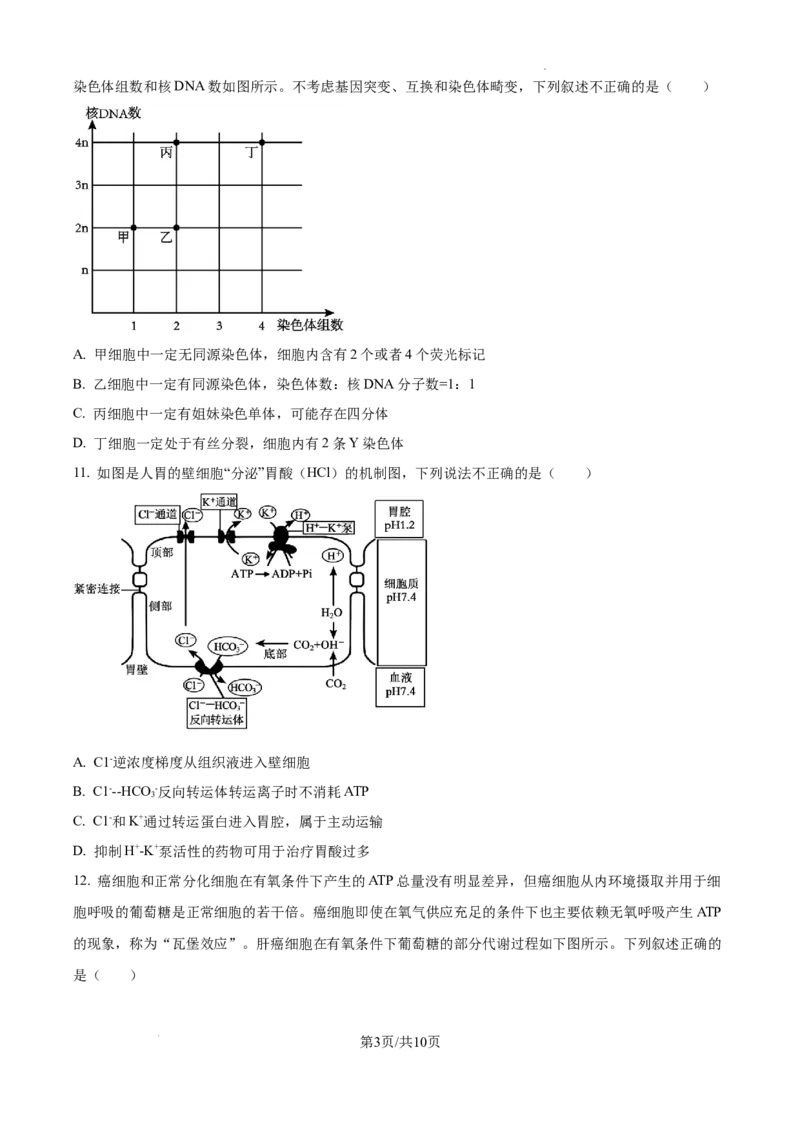辽宁省大连市滨城高中联盟2024-2025学年高三上学期期中考试生物_A1502026各地模拟卷（超值！）_10月_241023辽宁省大连市滨城高中联盟2024-2025学年高三上学期期中考试