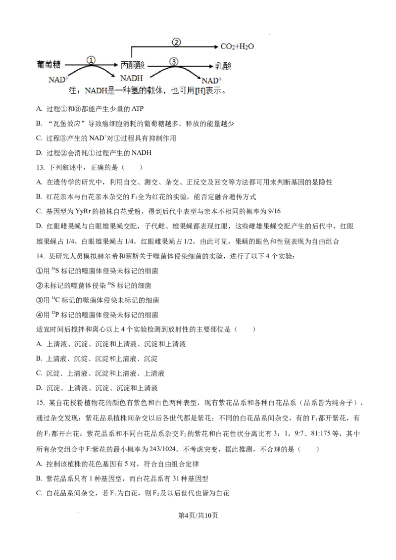辽宁省大连市滨城高中联盟2024-2025学年高三上学期期中考试生物_A1502026各地模拟卷（超值！）_10月_241023辽宁省大连市滨城高中联盟2024-2025学年高三上学期期中考试