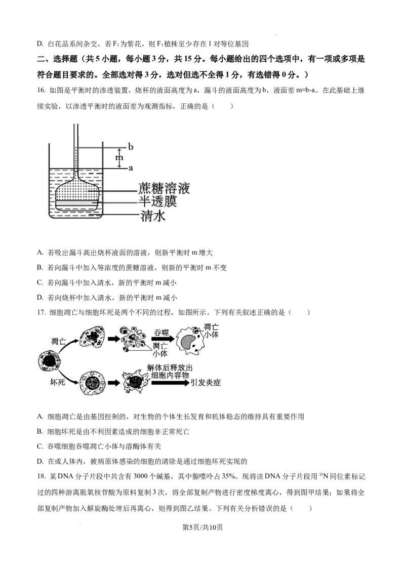 辽宁省大连市滨城高中联盟2024-2025学年高三上学期期中考试生物_A1502026各地模拟卷（超值！）_10月_241023辽宁省大连市滨城高中联盟2024-2025学年高三上学期期中考试