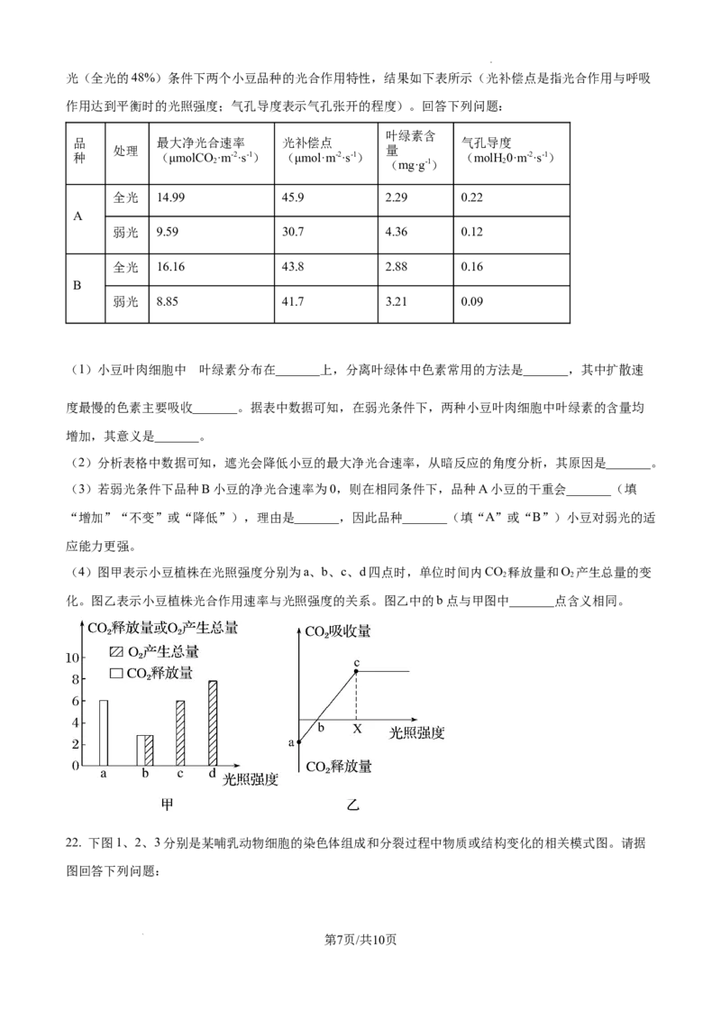 辽宁省大连市滨城高中联盟2024-2025学年高三上学期期中考试生物_A1502026各地模拟卷（超值！）_10月_241023辽宁省大连市滨城高中联盟2024-2025学年高三上学期期中考试