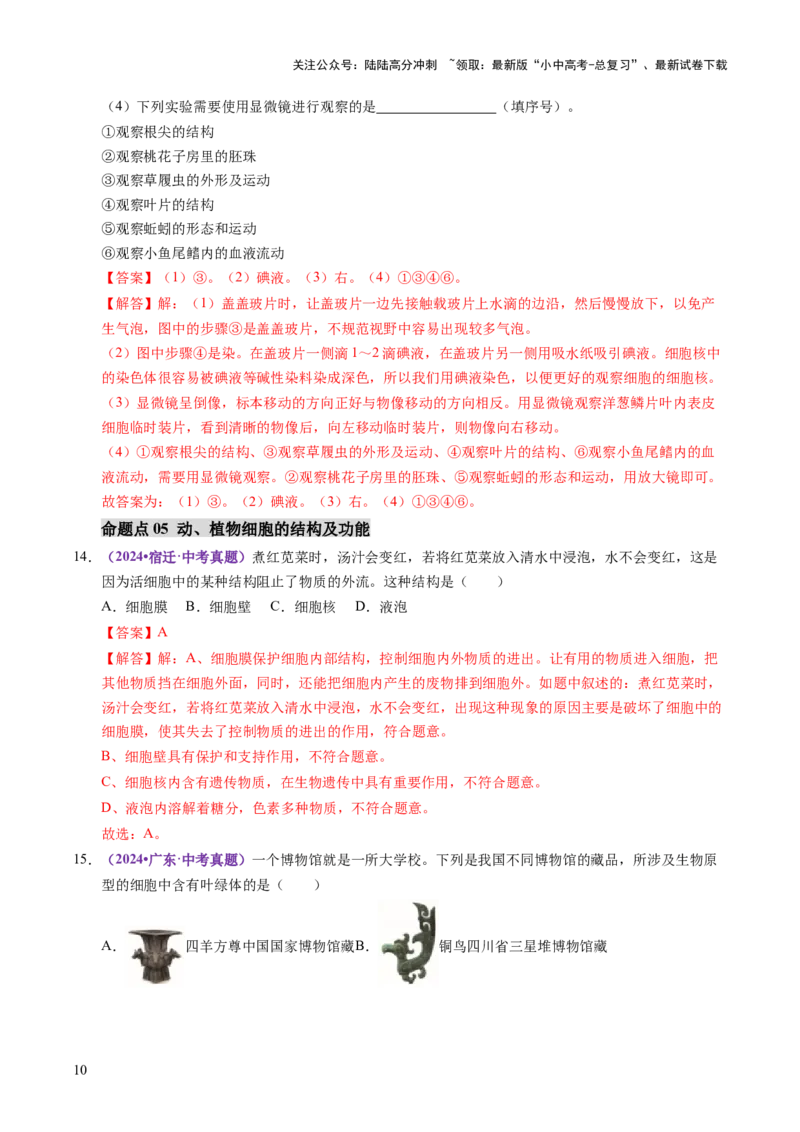 主题一生物体的结构层次（讲练）（解析版）_02中考总复习（2026版更新中）_08-生物-中考总复习_2025中考复习资料_2025中考二轮课件ppt+讲义+练习生物_讲义+练习