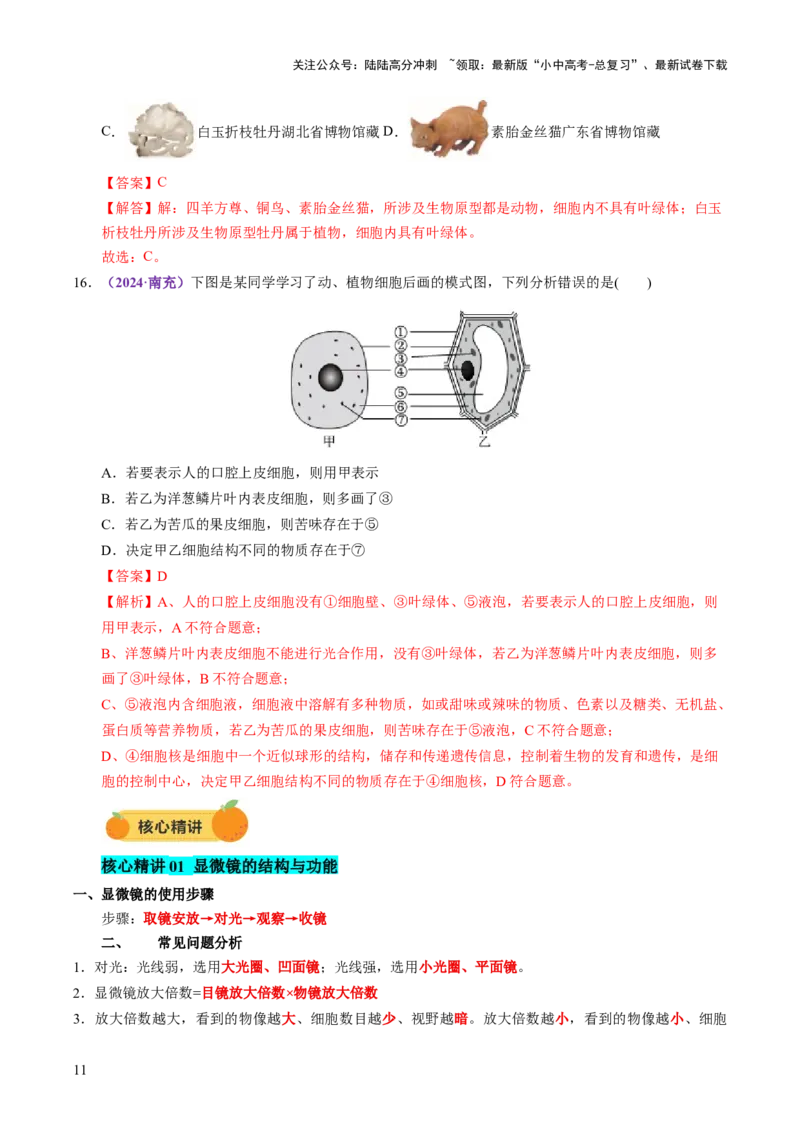 主题一生物体的结构层次（讲练）（解析版）_02中考总复习（2026版更新中）_08-生物-中考总复习_2025中考复习资料_2025中考二轮课件ppt+讲义+练习生物_讲义+练习