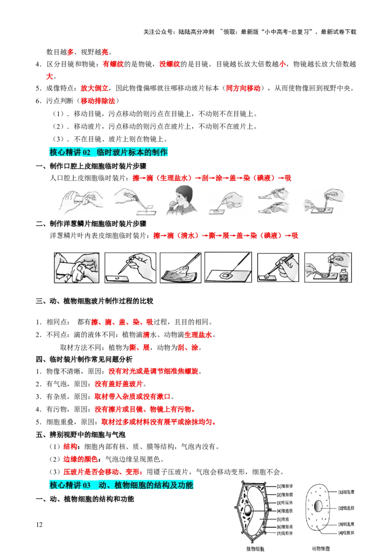 主题一生物体的结构层次（讲练）（解析版）_02中考总复习（2026版更新中）_08-生物-中考总复习_2025中考复习资料_2025中考二轮课件ppt+讲义+练习生物_讲义+练习