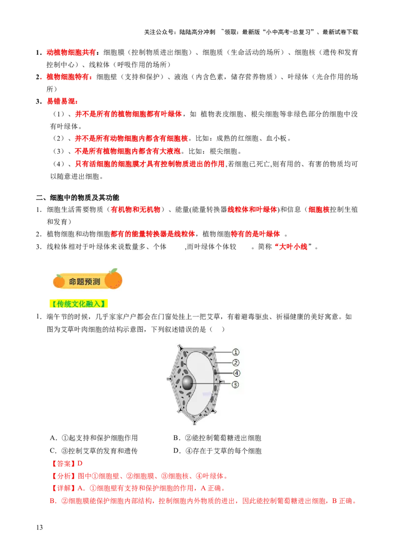 主题一生物体的结构层次（讲练）（解析版）_02中考总复习（2026版更新中）_08-生物-中考总复习_2025中考复习资料_2025中考二轮课件ppt+讲义+练习生物_讲义+练习