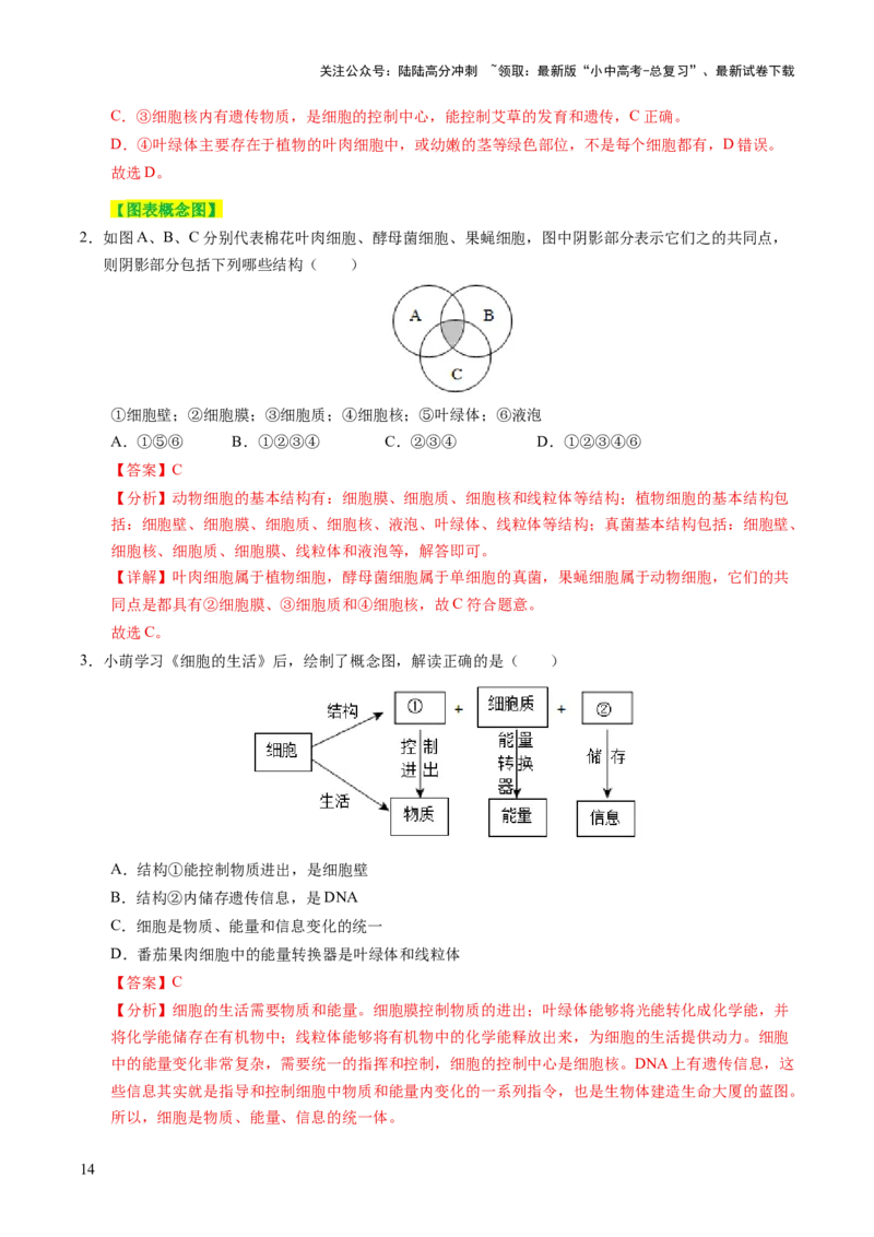 主题一生物体的结构层次（讲练）（解析版）_02中考总复习（2026版更新中）_08-生物-中考总复习_2025中考复习资料_2025中考二轮课件ppt+讲义+练习生物_讲义+练习