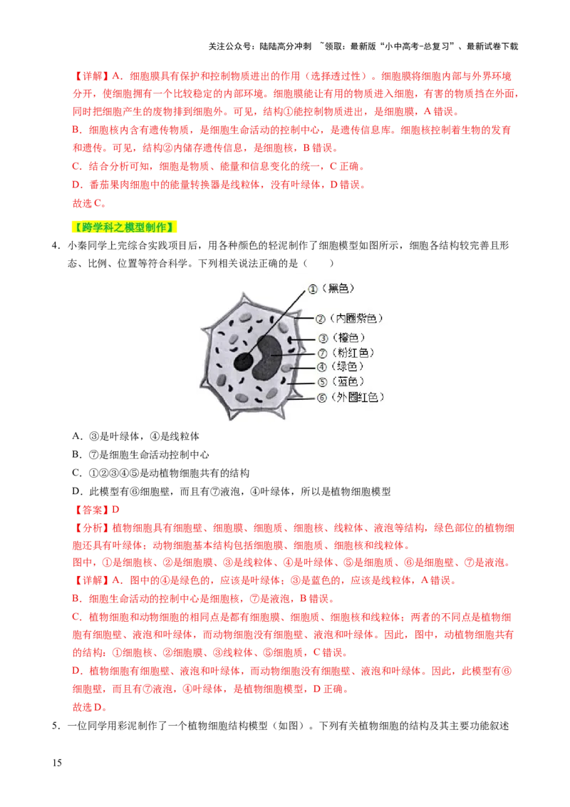 主题一生物体的结构层次（讲练）（解析版）_02中考总复习（2026版更新中）_08-生物-中考总复习_2025中考复习资料_2025中考二轮课件ppt+讲义+练习生物_讲义+练习