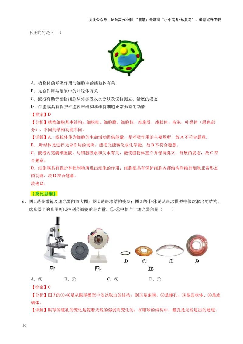 主题一生物体的结构层次（讲练）（解析版）_02中考总复习（2026版更新中）_08-生物-中考总复习_2025中考复习资料_2025中考二轮课件ppt+讲义+练习生物_讲义+练习