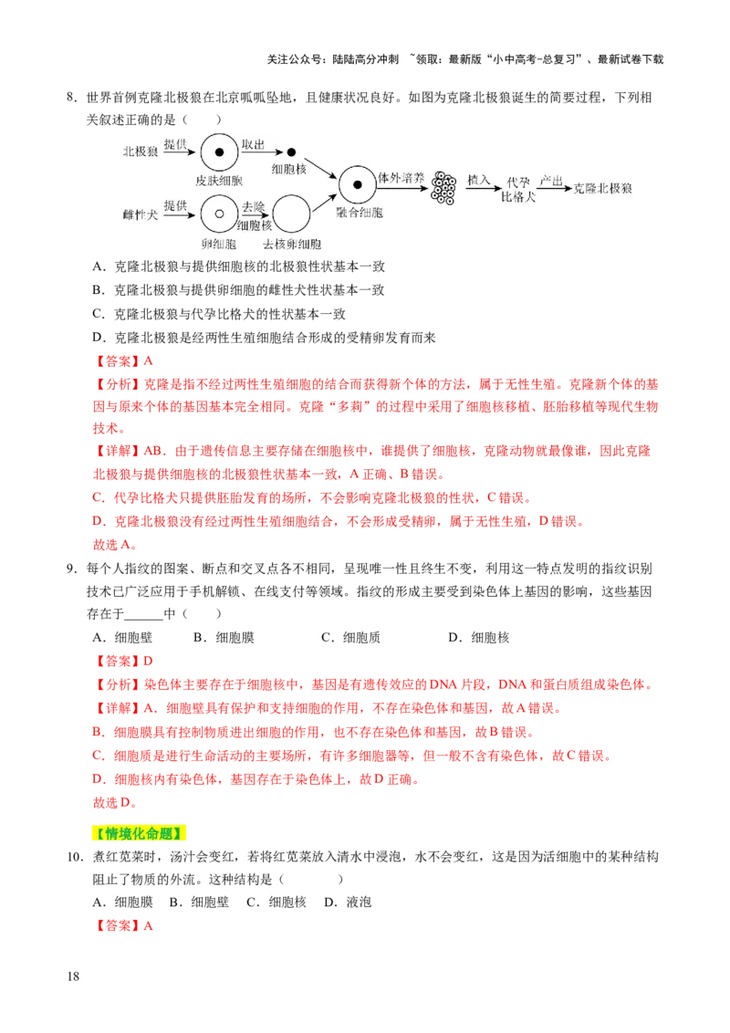 主题一生物体的结构层次（讲练）（解析版）_02中考总复习（2026版更新中）_08-生物-中考总复习_2025中考复习资料_2025中考二轮课件ppt+讲义+练习生物_讲义+练习