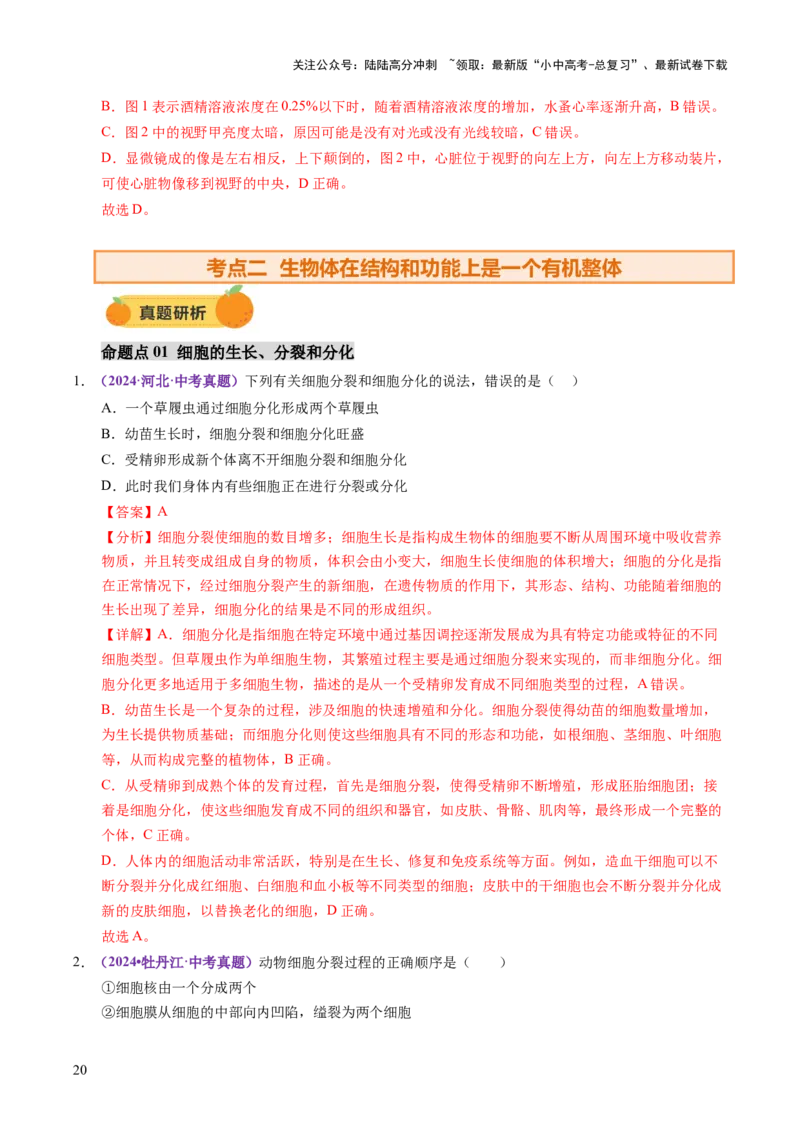 主题一生物体的结构层次（讲练）（解析版）_02中考总复习（2026版更新中）_08-生物-中考总复习_2025中考复习资料_2025中考二轮课件ppt+讲义+练习生物_讲义+练习