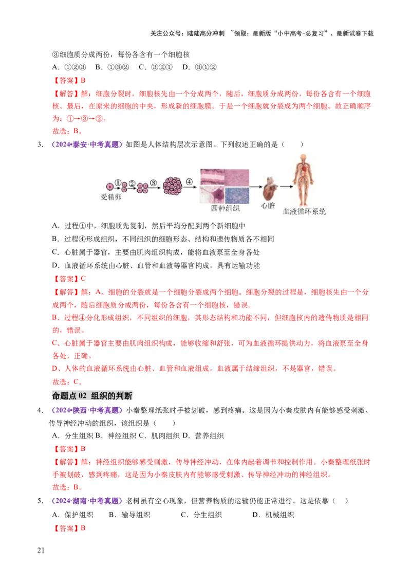 主题一生物体的结构层次（讲练）（解析版）_02中考总复习（2026版更新中）_08-生物-中考总复习_2025中考复习资料_2025中考二轮课件ppt+讲义+练习生物_讲义+练习