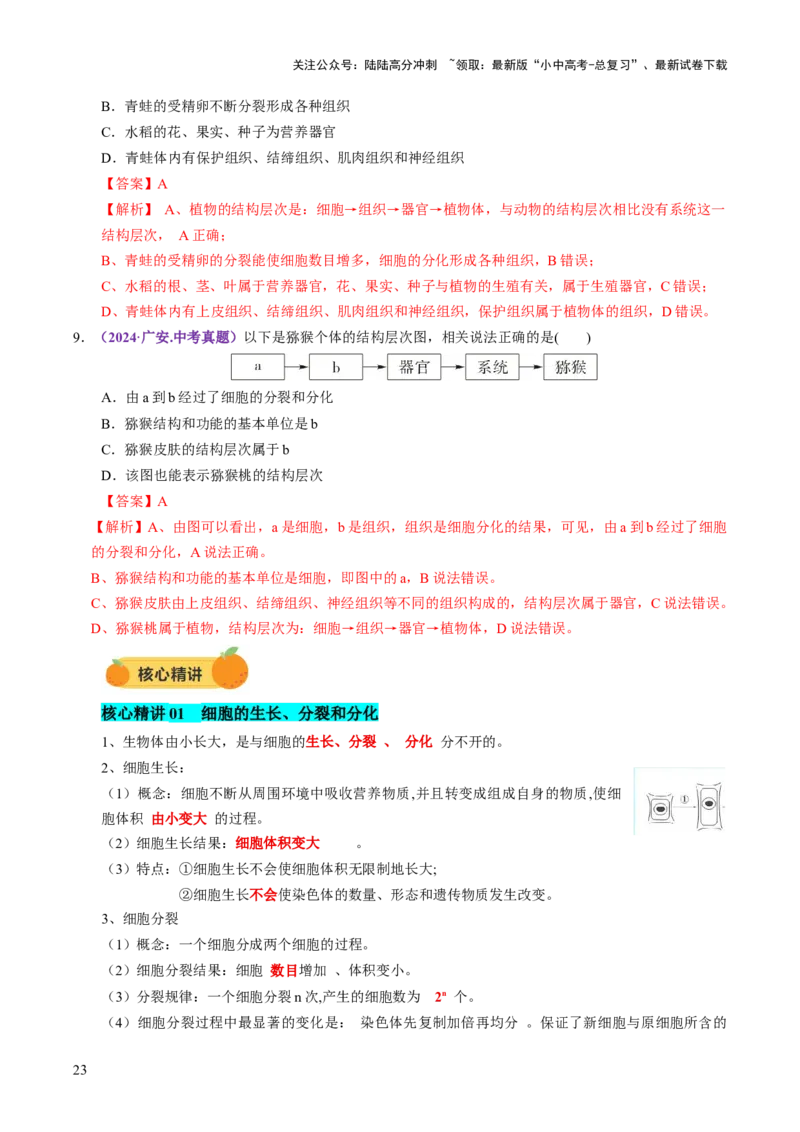 主题一生物体的结构层次（讲练）（解析版）_02中考总复习（2026版更新中）_08-生物-中考总复习_2025中考复习资料_2025中考二轮课件ppt+讲义+练习生物_讲义+练习