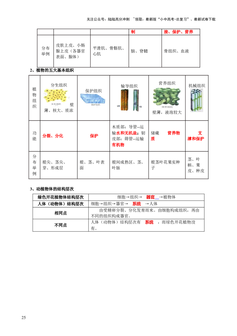 主题一生物体的结构层次（讲练）（解析版）_02中考总复习（2026版更新中）_08-生物-中考总复习_2025中考复习资料_2025中考二轮课件ppt+讲义+练习生物_讲义+练习