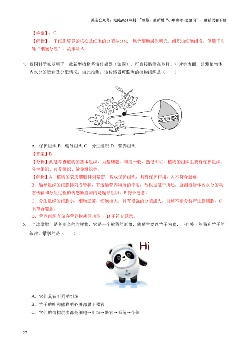 主题一生物体的结构层次（讲练）（解析版）_02中考总复习（2026版更新中）_08-生物-中考总复习_2025中考复习资料_2025中考二轮课件ppt+讲义+练习生物_讲义+练习