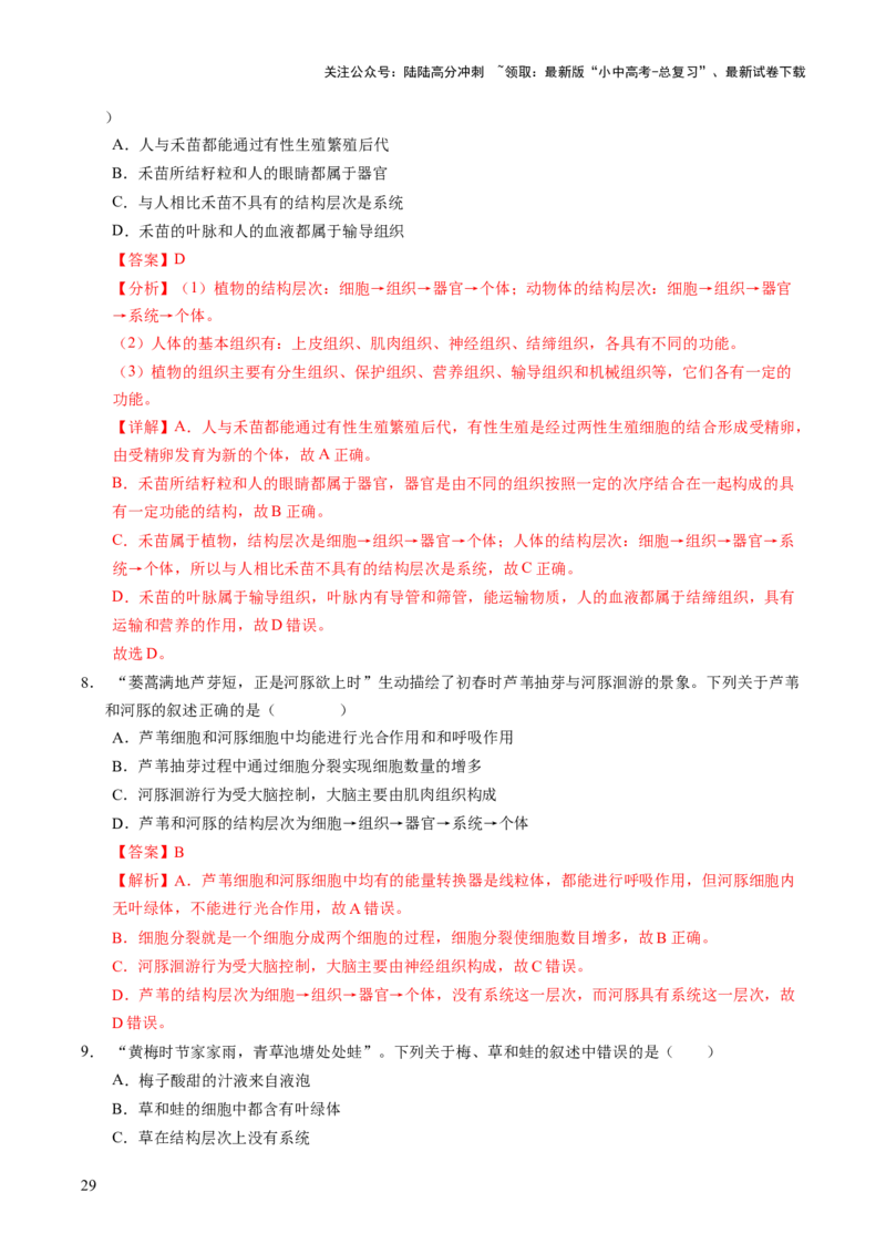 主题一生物体的结构层次（讲练）（解析版）_02中考总复习（2026版更新中）_08-生物-中考总复习_2025中考复习资料_2025中考二轮课件ppt+讲义+练习生物_讲义+练习
