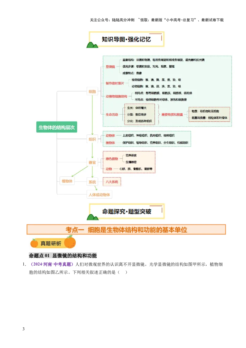 主题一生物体的结构层次（讲练）（解析版）_02中考总复习（2026版更新中）_08-生物-中考总复习_2025中考复习资料_2025中考二轮课件ppt+讲义+练习生物_讲义+练习