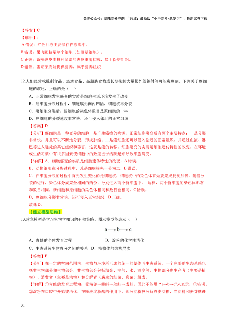主题一生物体的结构层次（讲练）（解析版）_02中考总复习（2026版更新中）_08-生物-中考总复习_2025中考复习资料_2025中考二轮课件ppt+讲义+练习生物_讲义+练习