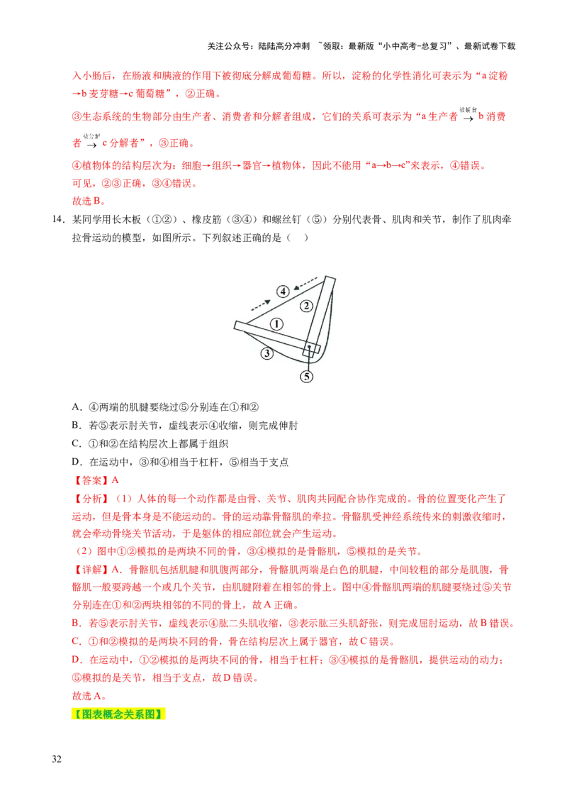 主题一生物体的结构层次（讲练）（解析版）_02中考总复习（2026版更新中）_08-生物-中考总复习_2025中考复习资料_2025中考二轮课件ppt+讲义+练习生物_讲义+练习