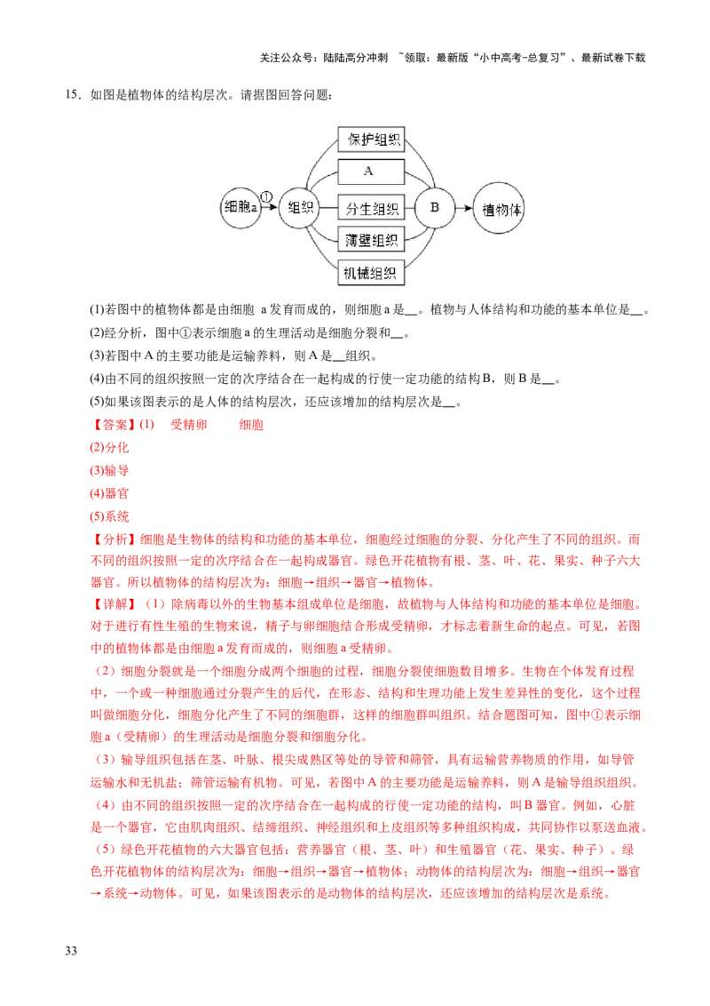 主题一生物体的结构层次（讲练）（解析版）_02中考总复习（2026版更新中）_08-生物-中考总复习_2025中考复习资料_2025中考二轮课件ppt+讲义+练习生物_讲义+练习