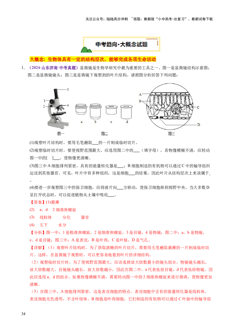 主题一生物体的结构层次（讲练）（解析版）_02中考总复习（2026版更新中）_08-生物-中考总复习_2025中考复习资料_2025中考二轮课件ppt+讲义+练习生物_讲义+练习
