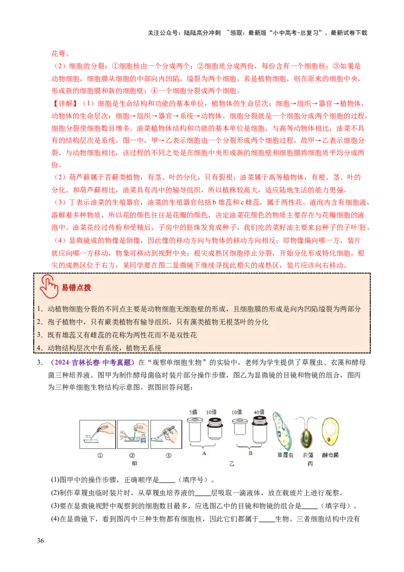 主题一生物体的结构层次（讲练）（解析版）_02中考总复习（2026版更新中）_08-生物-中考总复习_2025中考复习资料_2025中考二轮课件ppt+讲义+练习生物_讲义+练习