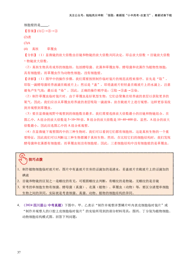 主题一生物体的结构层次（讲练）（解析版）_02中考总复习（2026版更新中）_08-生物-中考总复习_2025中考复习资料_2025中考二轮课件ppt+讲义+练习生物_讲义+练习