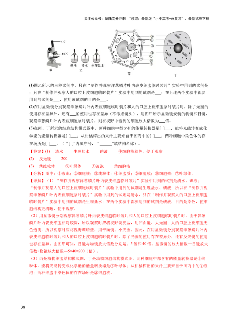 主题一生物体的结构层次（讲练）（解析版）_02中考总复习（2026版更新中）_08-生物-中考总复习_2025中考复习资料_2025中考二轮课件ppt+讲义+练习生物_讲义+练习