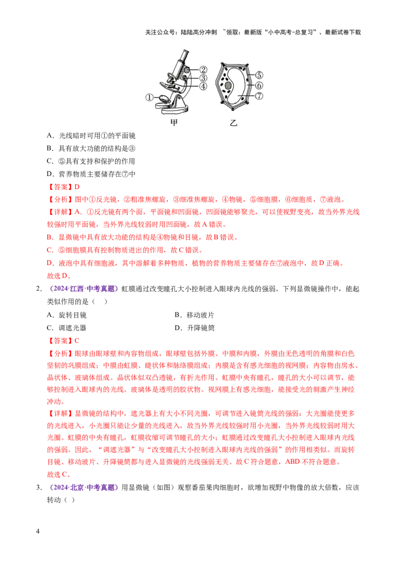 主题一生物体的结构层次（讲练）（解析版）_02中考总复习（2026版更新中）_08-生物-中考总复习_2025中考复习资料_2025中考二轮课件ppt+讲义+练习生物_讲义+练习