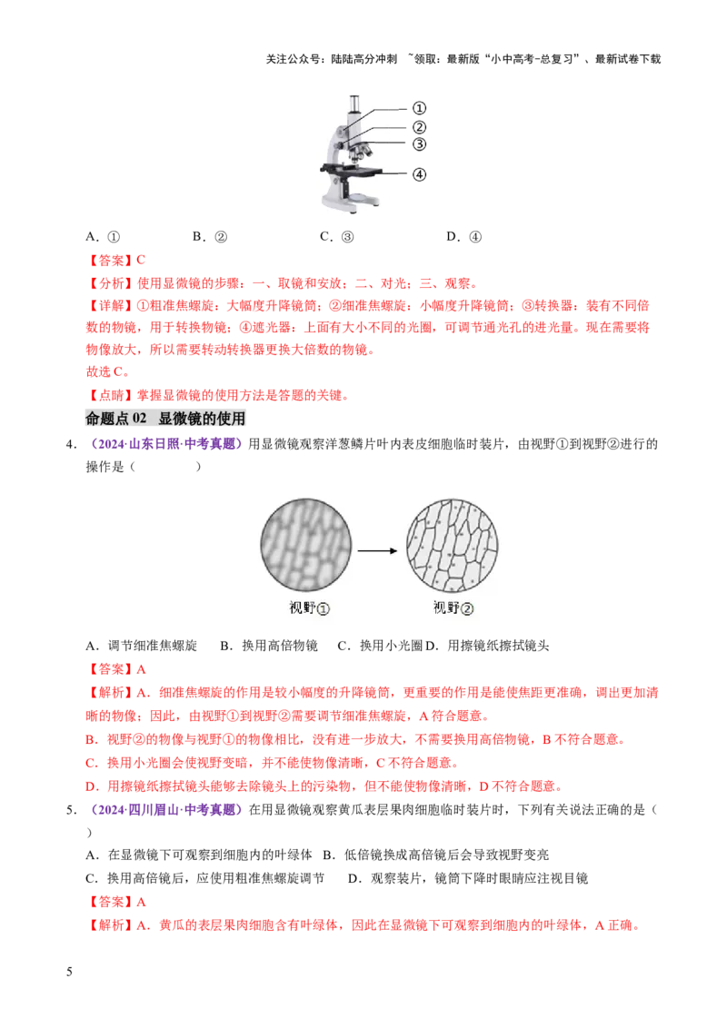 主题一生物体的结构层次（讲练）（解析版）_02中考总复习（2026版更新中）_08-生物-中考总复习_2025中考复习资料_2025中考二轮课件ppt+讲义+练习生物_讲义+练习