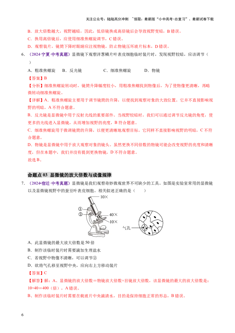 主题一生物体的结构层次（讲练）（解析版）_02中考总复习（2026版更新中）_08-生物-中考总复习_2025中考复习资料_2025中考二轮课件ppt+讲义+练习生物_讲义+练习