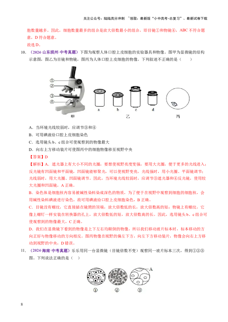 主题一生物体的结构层次（讲练）（解析版）_02中考总复习（2026版更新中）_08-生物-中考总复习_2025中考复习资料_2025中考二轮课件ppt+讲义+练习生物_讲义+练习