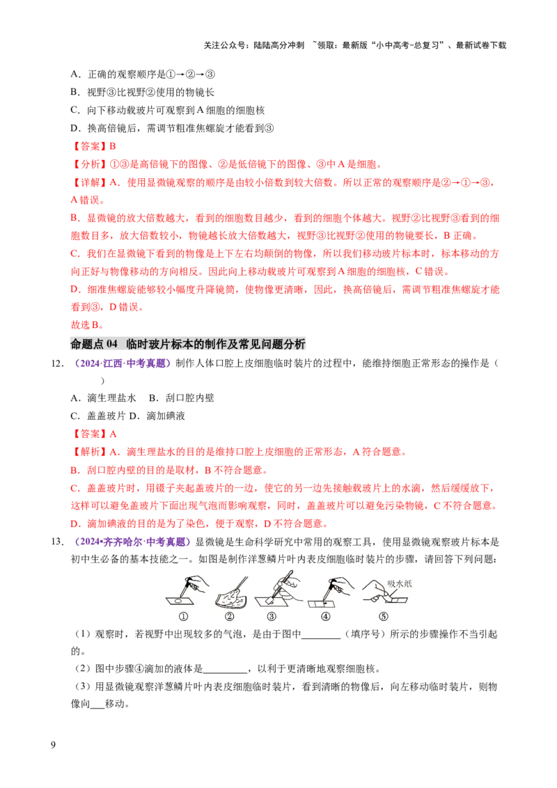主题一生物体的结构层次（讲练）（解析版）_02中考总复习（2026版更新中）_08-生物-中考总复习_2025中考复习资料_2025中考二轮课件ppt+讲义+练习生物_讲义+练习