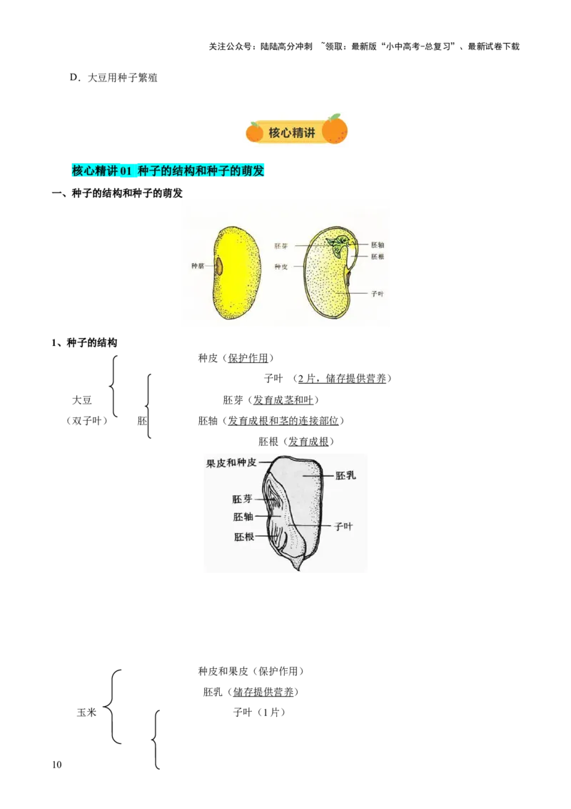主题四植物的生活（讲练）（原卷版）_02中考总复习（2026版更新中）_08-生物-中考总复习_2025中考复习资料_2025中考二轮课件ppt+讲义+练习生物_讲义+练习