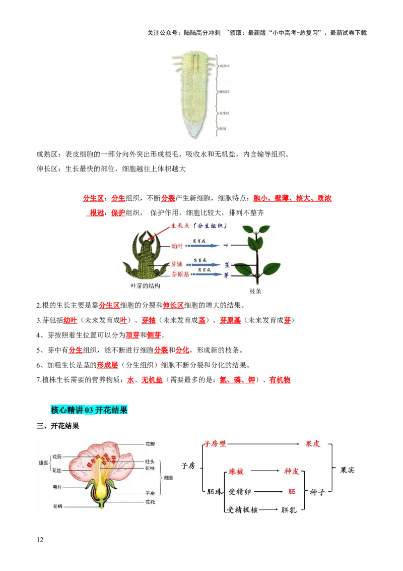 主题四植物的生活（讲练）（原卷版）_02中考总复习（2026版更新中）_08-生物-中考总复习_2025中考复习资料_2025中考二轮课件ppt+讲义+练习生物_讲义+练习