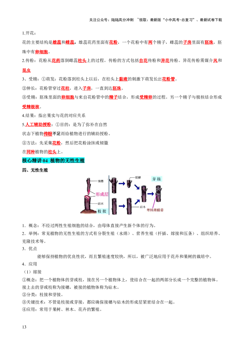 主题四植物的生活（讲练）（原卷版）_02中考总复习（2026版更新中）_08-生物-中考总复习_2025中考复习资料_2025中考二轮课件ppt+讲义+练习生物_讲义+练习