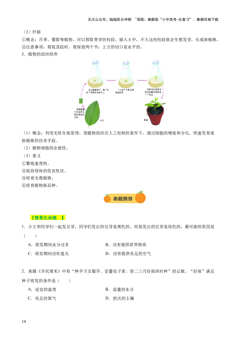 主题四植物的生活（讲练）（原卷版）_02中考总复习（2026版更新中）_08-生物-中考总复习_2025中考复习资料_2025中考二轮课件ppt+讲义+练习生物_讲义+练习