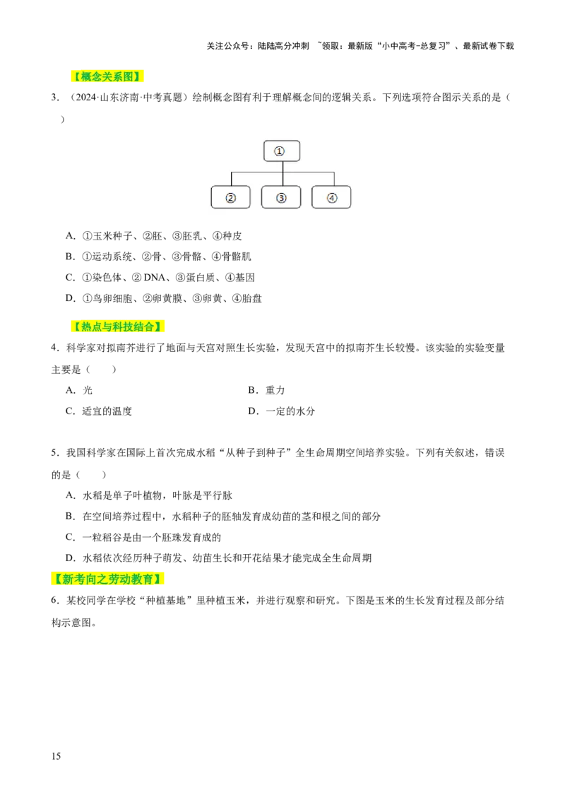 主题四植物的生活（讲练）（原卷版）_02中考总复习（2026版更新中）_08-生物-中考总复习_2025中考复习资料_2025中考二轮课件ppt+讲义+练习生物_讲义+练习