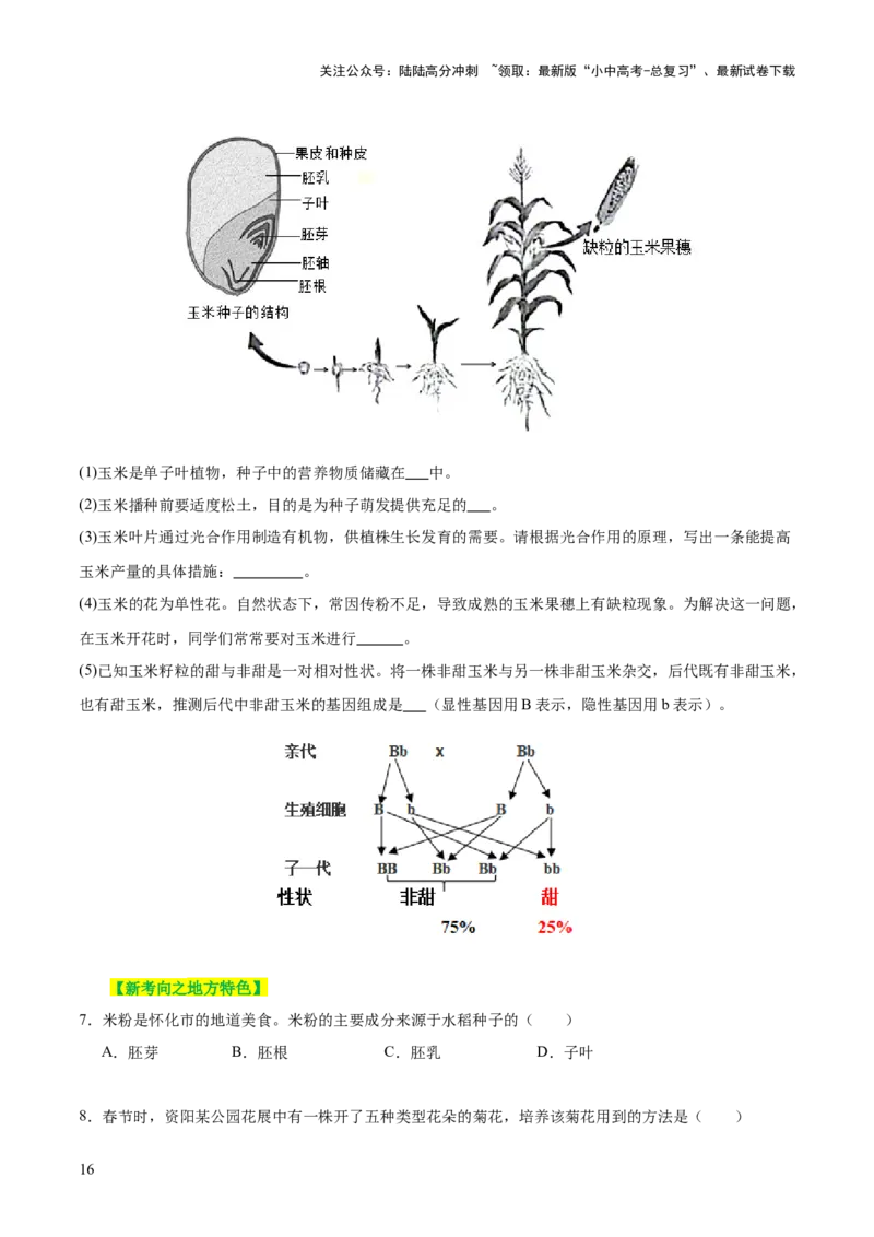 主题四植物的生活（讲练）（原卷版）_02中考总复习（2026版更新中）_08-生物-中考总复习_2025中考复习资料_2025中考二轮课件ppt+讲义+练习生物_讲义+练习