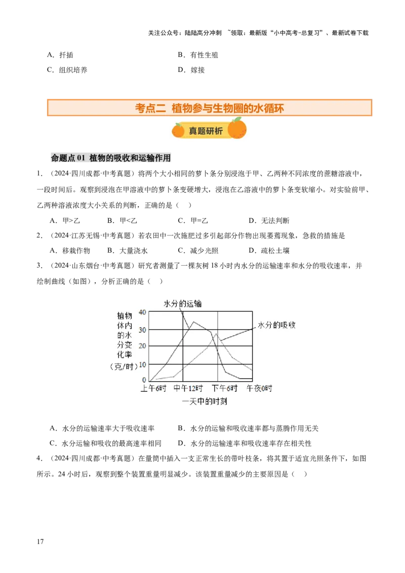 主题四植物的生活（讲练）（原卷版）_02中考总复习（2026版更新中）_08-生物-中考总复习_2025中考复习资料_2025中考二轮课件ppt+讲义+练习生物_讲义+练习