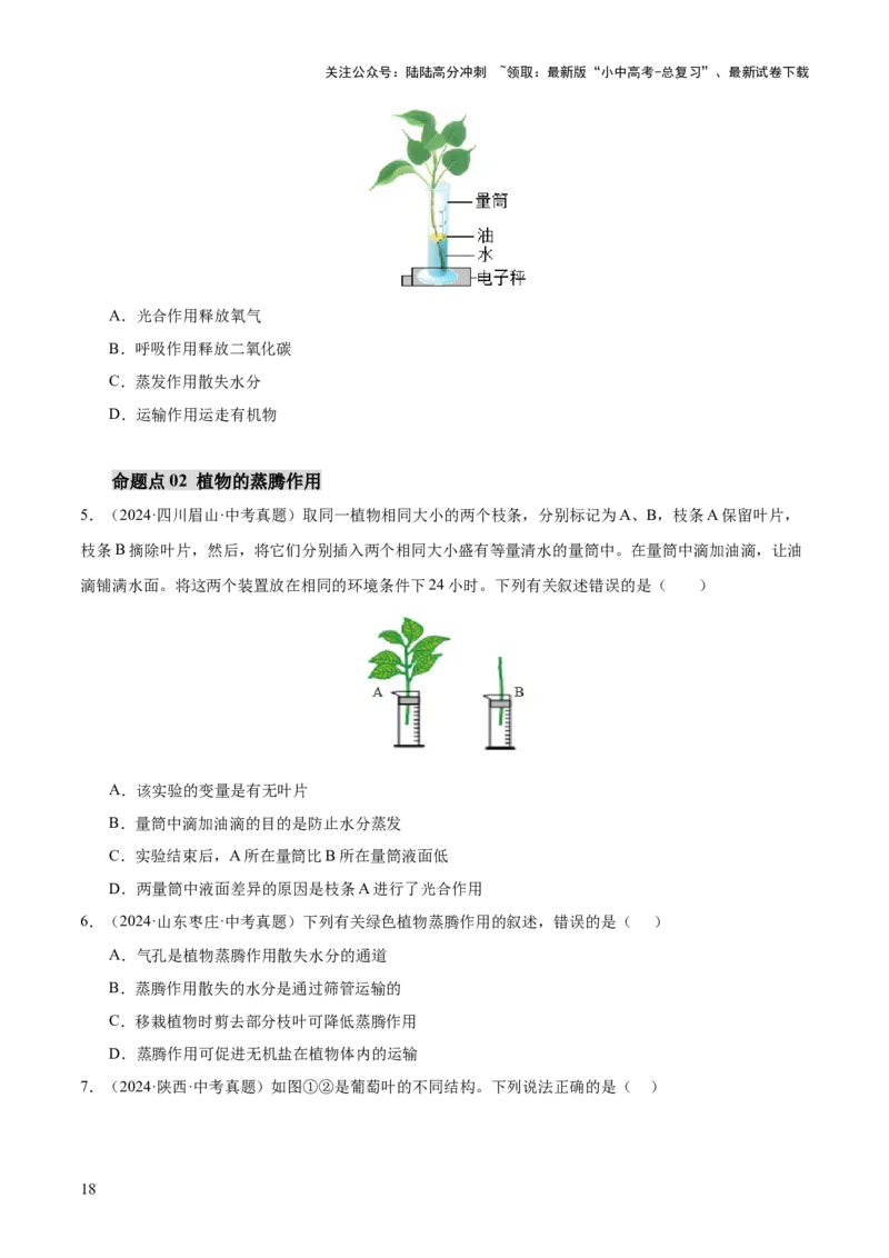 主题四植物的生活（讲练）（原卷版）_02中考总复习（2026版更新中）_08-生物-中考总复习_2025中考复习资料_2025中考二轮课件ppt+讲义+练习生物_讲义+练习
