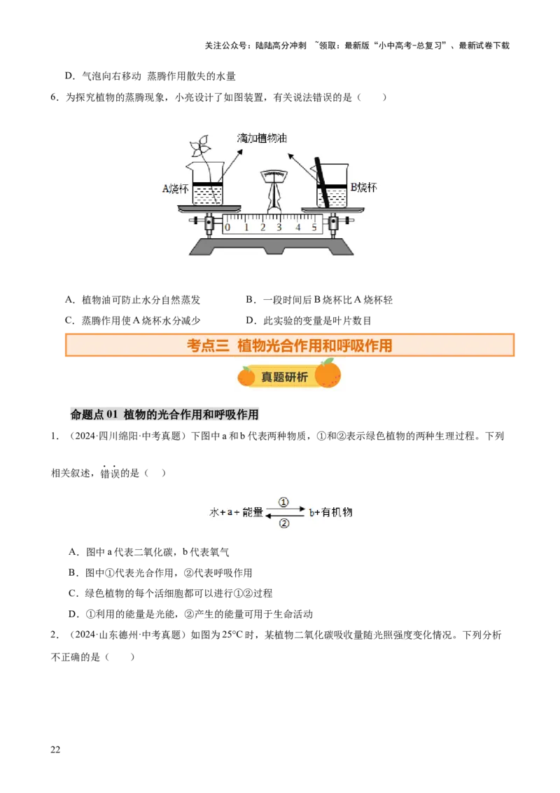 主题四植物的生活（讲练）（原卷版）_02中考总复习（2026版更新中）_08-生物-中考总复习_2025中考复习资料_2025中考二轮课件ppt+讲义+练习生物_讲义+练习