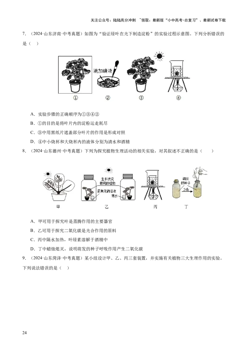 主题四植物的生活（讲练）（原卷版）_02中考总复习（2026版更新中）_08-生物-中考总复习_2025中考复习资料_2025中考二轮课件ppt+讲义+练习生物_讲义+练习
